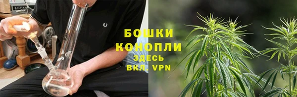 прущий лед Пестово