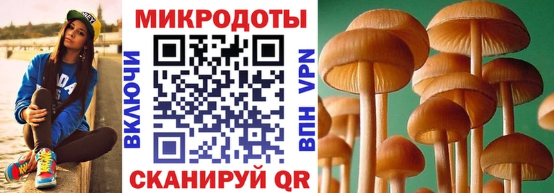 Купить где  Зерноград  Галлюциногенные грибы MAGIC MUSHROOMS 
